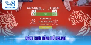 Cách chơi rồng hổ online