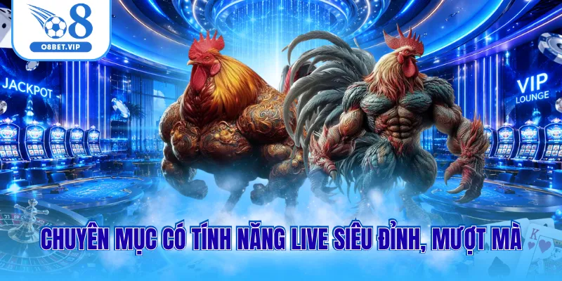 Đá gà O8 2 Chuyên mục có tính năng live siêu đỉnh, mượt mà